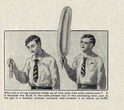 0-2-147d70d2dcc1ad2ffd58e884a5a30f61e3