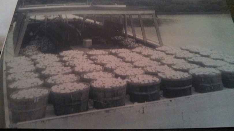 1658227_315969178553419_104828384_o