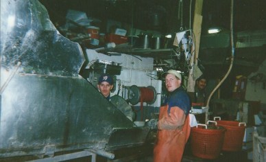 grading-oysters-jason-ruth