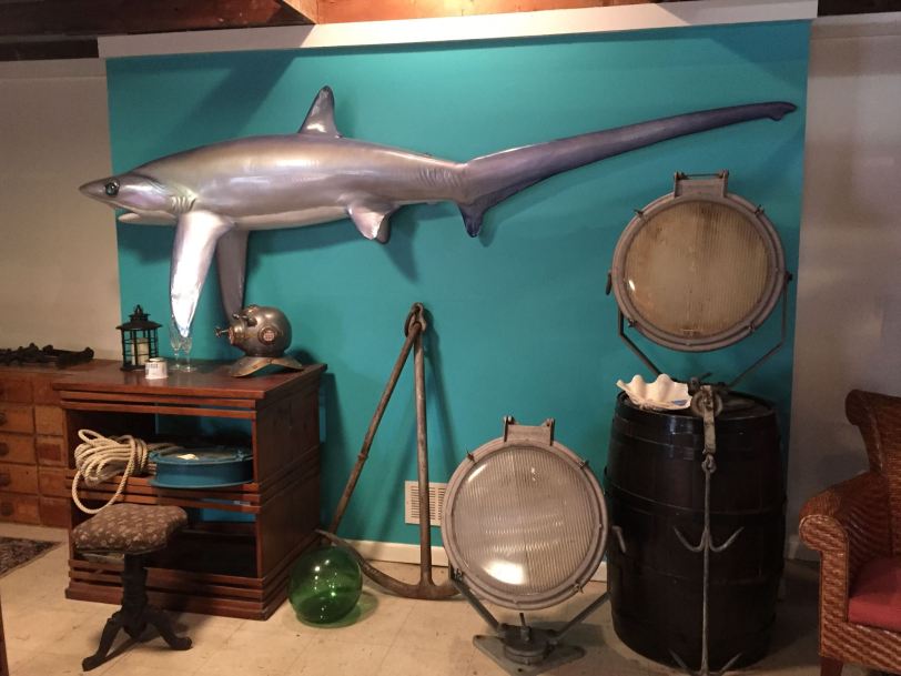 16251621_1900730973471696_4876018102231243452_o