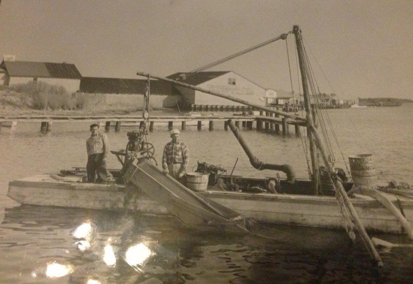 6309_195785850571753_2109983811_n