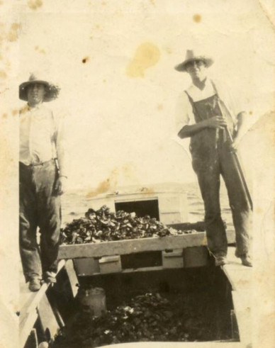 12895333_10206067869592113_279005912_n